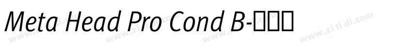Meta Head Pro Cond B字体转换